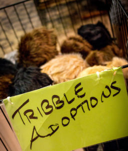 Tribble Adoptions