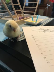 bird and signup sheet